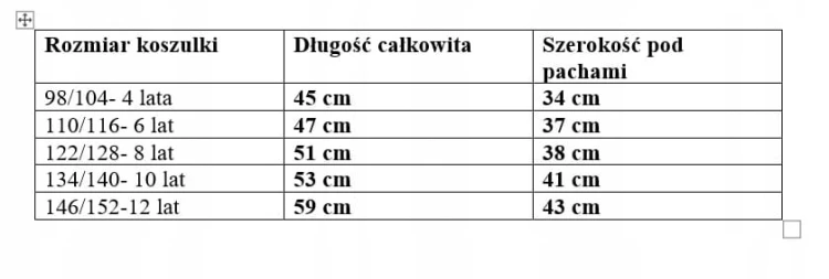 koszulka bawełniana dla chłopca chłopięca nadruk T- shirt 146/152- 12 lat