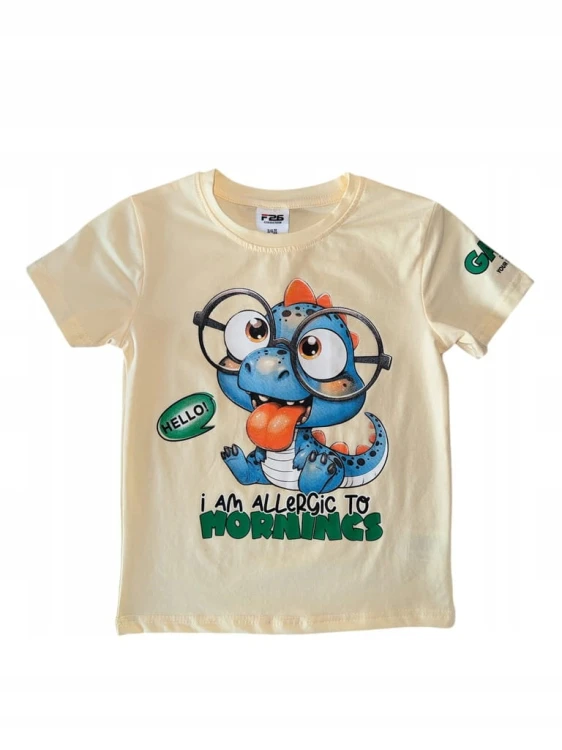 koszulka bawełniana dla chłopca chłopięca nadruk T- shirt 110/116- 5/6 lat