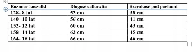 koszulka bawełniana dla chłopca chłopięca T- shirt 164- 16 lat koszykarz
