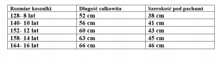 koszulka bawełniana dla chłopca chłopięca T- shirt 152- 12 lat koszykarz
