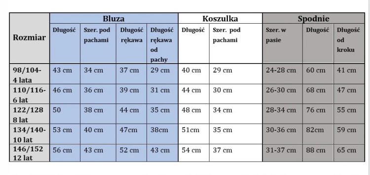 dres komplet dziewczęcy dziecięcy dresowy 3 elementy 110/116- TL-751A3