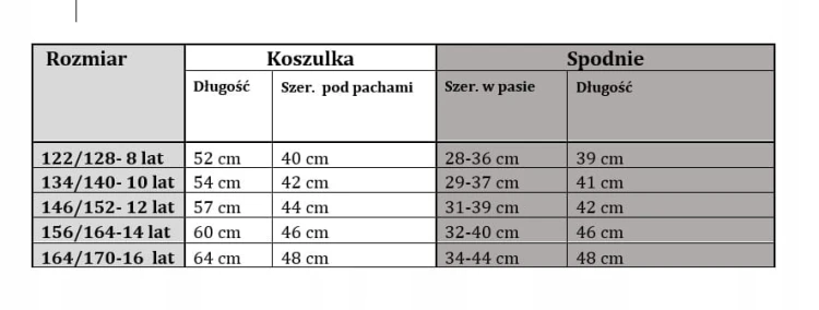komplet letni chłopięcy dziecięcy dla chłopca 134/140- 10 lat TL-889A3