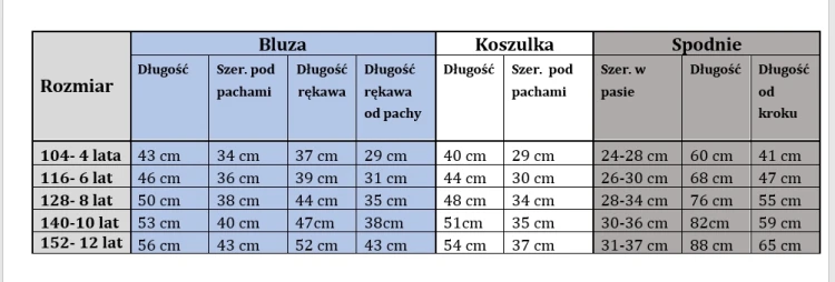 dres komplet dziewczęcy dziecięcy dresowy 3 elementy 116- 6 lat WB-3289