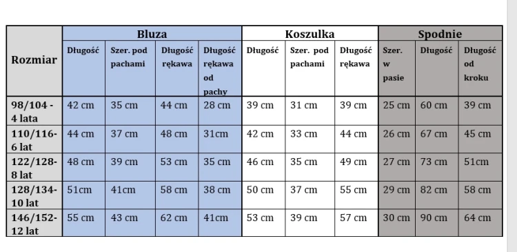 dres chłopięcy komplet dresowy 3 elementy 110/116- 6 lat TL-944 C