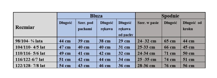 dres chłopięcy komplet dresowy dinozaury 98/104 - 3/4 lata FD-3010 szary