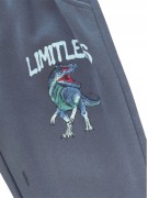 dres chłopięcy komplet dresowy dinozaury 104/110 - 4/5 lat FD-3010 szary