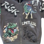 dres chłopięcy komplet dresowy dinozaury 104/110 - 4/5 lat FD-3010 szary