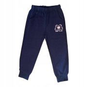 dres komplet dziewczęcy dziecięcy dresowy 3 części 104/110- 4/5 lat WB-3094