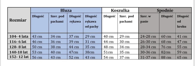dres komplet dziewczęcy dziecięcy dresowy 3 elementy 140- 10 lat WB-3291
