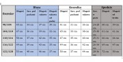 dres chłopięcy komplet dresowy 3 elementy 116/122- 6/7 lat samochód