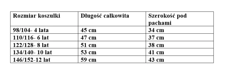 Koszulka Polo Chłopięca Biała Krótki Rękaw Kołnierzyk 134/140-10lat YL017A1